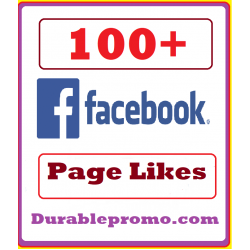 100 Facebook Page Likes 